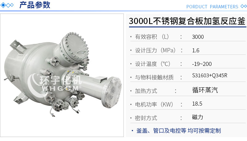 3000L不锈钢复合板加氢反应釜